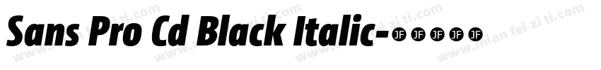 Sans Pro Cd Black Italic字体转换
